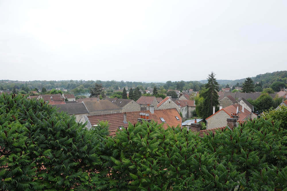 View of Auvers from Dr Gachet's House